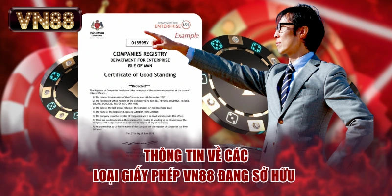 Thông tin về các loại giấy phép VN88 đang sở hữu 